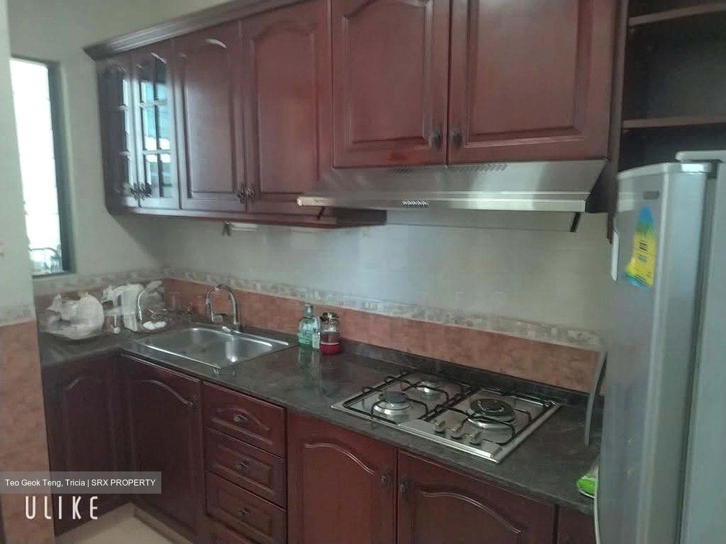 Tanglin Regency (D10), Condominium #607383831